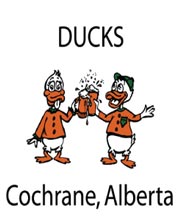 Ducks On The Roof Cochrane